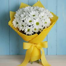 Букет цветов из:  Хризантемы в Алакуртти