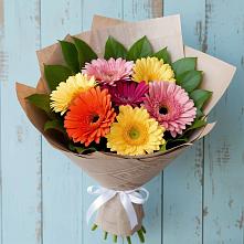 Букет цветов из:  Герберы #REPLACE_PRED# Алакуртти
