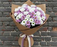 Букет цветов из:  Хризантемы в Алакуртти