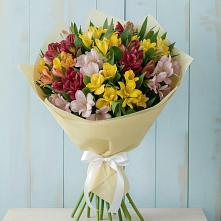 Букет цветов из:  Альстромерии в Алакуртти
