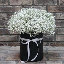 Цветочная композиция из Гипсофила в шляпной коробке #REPLACE_PRED# Алакуртти