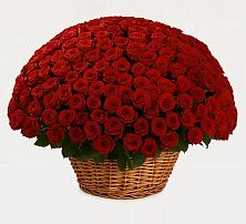 Премиум букет из: Розы в Алакуртти