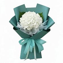 Букет цветов из:  Гортензия в Алакуртти